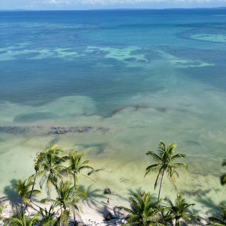Palms over white sand and shallow reef