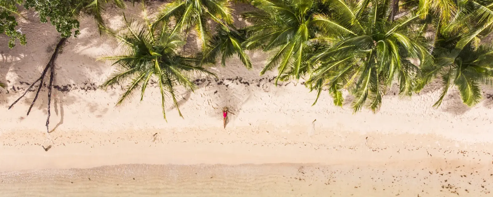 White sand, palms and shallow water from directly above